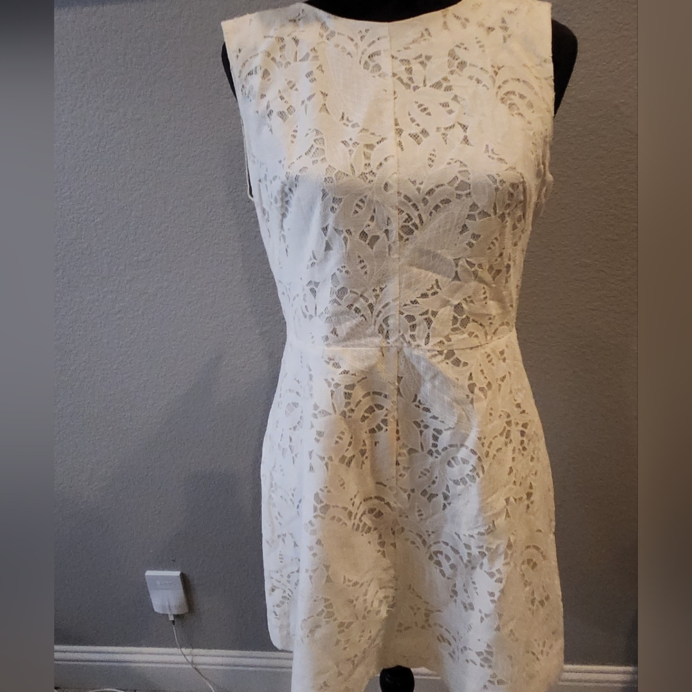 Elegant Cream Lace Dress